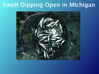 Smelt Dipping Open in Michigan 2012