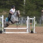 Leopard Appy jumping in the Marquette County Fair horse show 2015