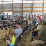 People loved the Livestock Auction at the Marquette County Fair 2015!
