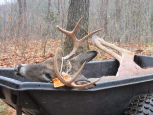 George Lindquist's big 8-point buck taken in Marquette Co.