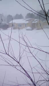 The view outside my living room window 2 weeks ago. It's like it never even happened.