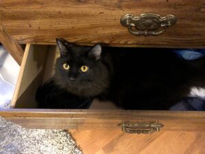 On_The_Job_Emillio_110819