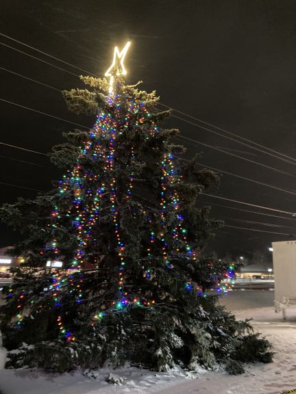 Come Catch the Christmas Spirit at the Tree Lighting Ceremony! - Vimarsana News