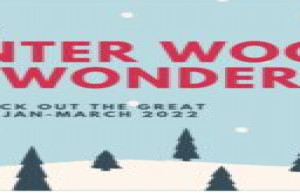 UPCM presents Winter Woods Wonder January-March 2022