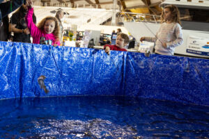 UP-Boat-Sport-RV-2025