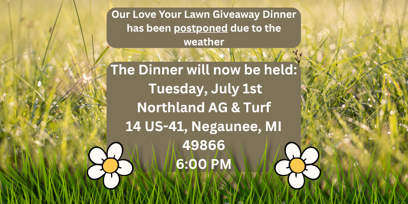 love-your-lawn
