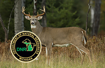 deer-hunting-bow-season-DNR
